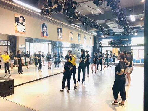 成人模特前台造型视频,成人模特前台造型视频精彩瞬间回顾