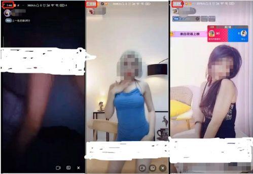 成人无码H视频,激情与禁忌的交织